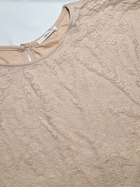 Timing Women's Plus Size Lace Overlay Crewneck Top in Nude